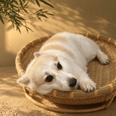 Handwoven Bamboo Pet Bed Basket – Natural Round Cat & Dog Nest - Innerbillion