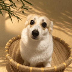 Handwoven Bamboo Pet Bed Basket – Natural Round Cat & Dog Nest - Innerbillion