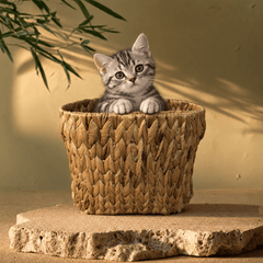 Handwoven Water Hyacinth Basket – Natural Storage & Bicycle Basket - Innerbillion