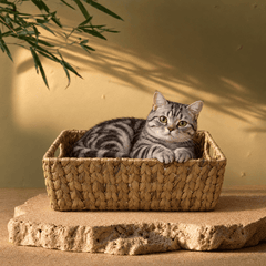Handwoven Water Hyacinth Storage Basket – Natural Rectangular Organizer - Innerbillion