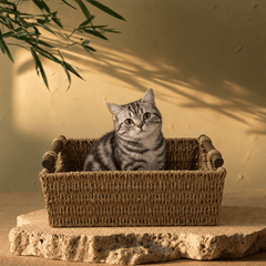 Natural Woven Storage Basket – Rustic Organizer with Wooden Handles - Innerbillion