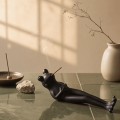 Relaxed Frog Incense Holder – Funny Zen Desk Decor - Innerbillion