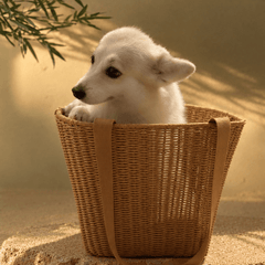 Woven Backpack Basket – Small Pet Carrier & Rustic Market Basket - Innerbillion