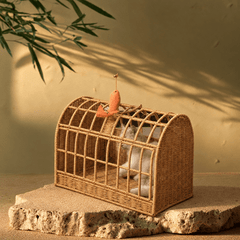 Woven Cat Carrier House with Cushion & Ball Toy – Pet Basket for Cats and Small Pets - Innerbillion